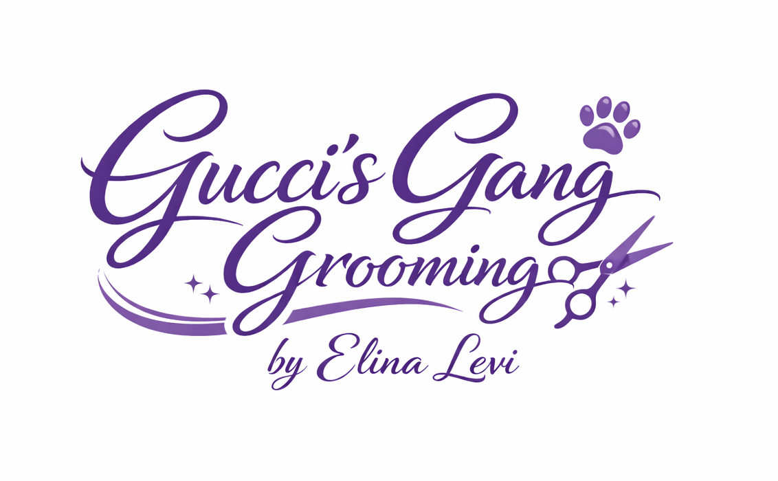Guccis Gang Grooming